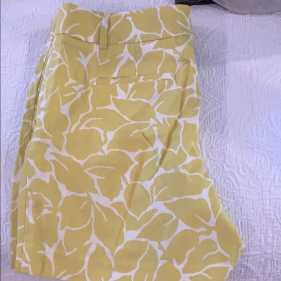 Loft shorts - Picture 4 of 4